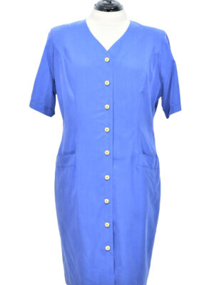 Sinine nööpidega vintage kleit